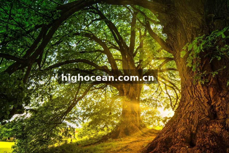 提提电竞 赛程密度与胜率关联：提提电竞用数据拆解观赛节奏的隐藏规律