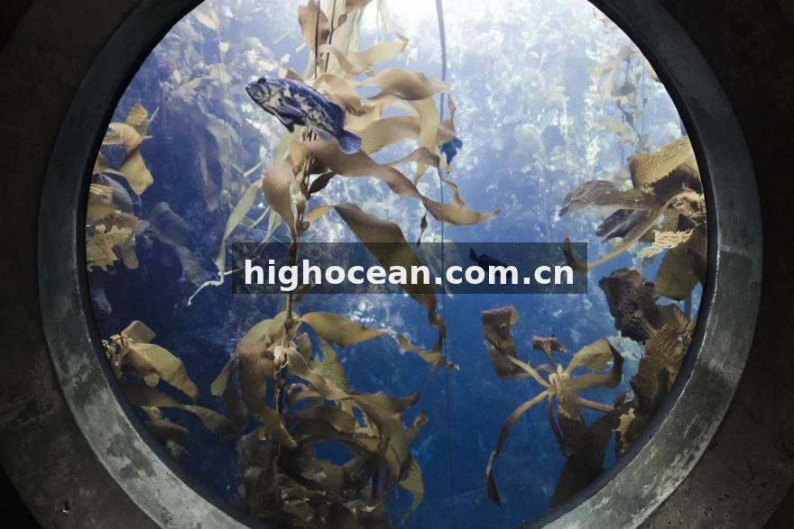 提提电竞 经济转化率与资源置换：赛季中段被忽略的两组效率指标